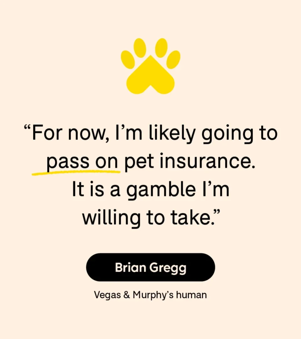 Health: Patient experiences: pet care insurance quote 1