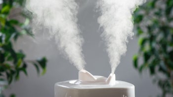 Health: Alternative treatments: closeup humidifier indoors with plants-693623488