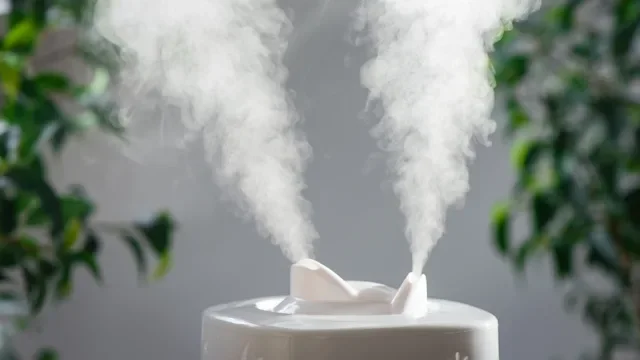 Health: Alternative treatments: closeup humidifier indoors with plants-693623488