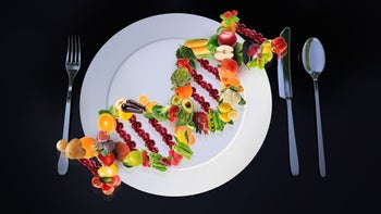 Health: Diet and nutrition: dna helix fruit vegetables nutrigenics-1292610521