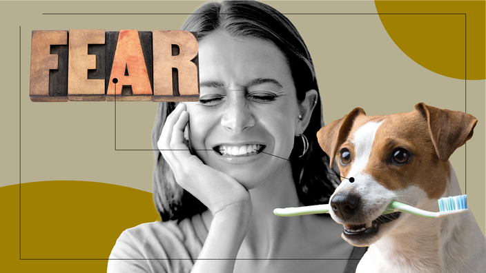 Tan background with a black-and-white cutout portrait of a woman with tooth pain. Off of her are diagram lines pointing to objects representing the feelings of a root canal. On the left are big block letters spelling “fear.” On the right is a dog holding a toothbrush in its mouth. 