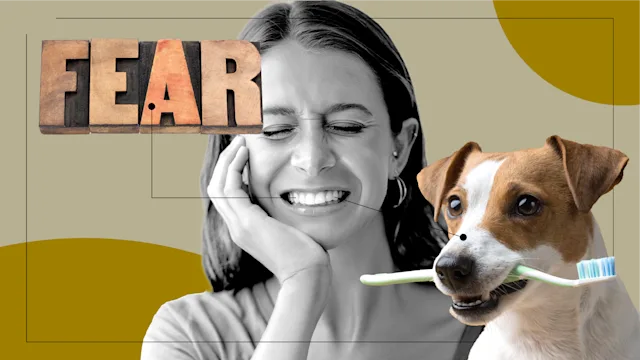 Patient Experiences: patient stories feel root canal option 2