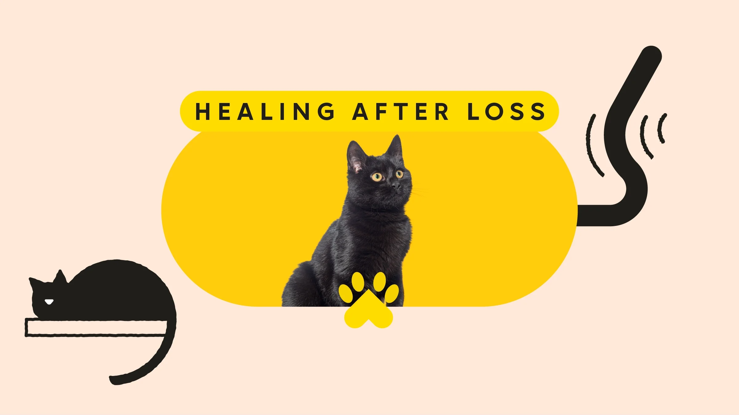 Tan background with oval cropped image of a black on a yellow background. The text above reads: “Healing After Loss.” In the bottom left corner is an illustration of a black cat on a shelf. On the right is an illustration of a wagging black tail. 