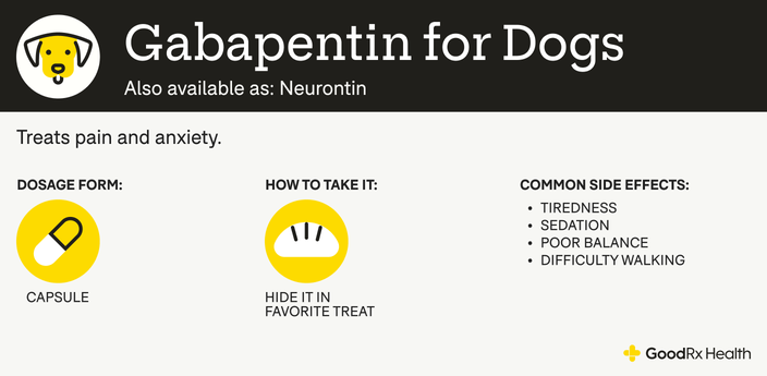 An infographic explaining Gabapentin for dogs, including its alternative names, uses, dosage forms, administration guidelines, and common side effects.