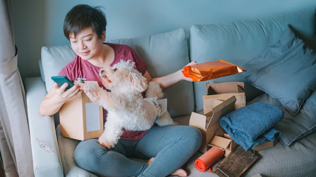 Behavioral addiction: Retail therapy: unpacking online purchases on couch with dog 1301968473