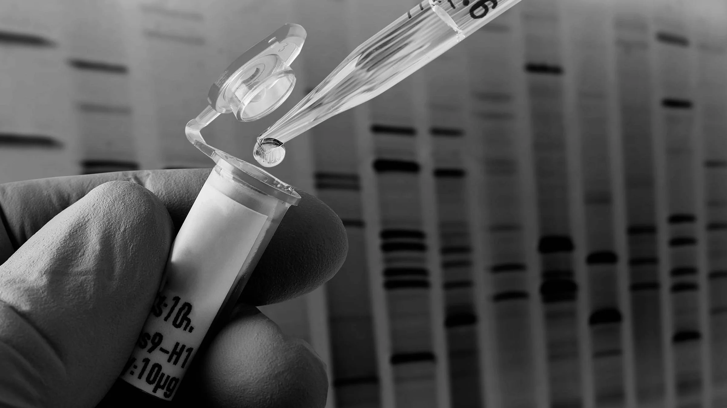 Close-up on a person's hands holding a test tube and dropper with a gene research print out behind them in the background.