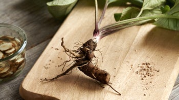 supplements-herbs:burdock root on-a cutting board 1748955063