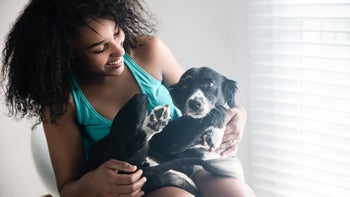 dog: owner smiling with dog on her lap 1058168480