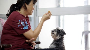 dog: woman giving dog a treat 1351212955