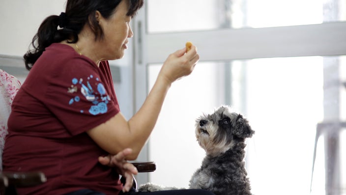 A woman feeding her dog a treat.