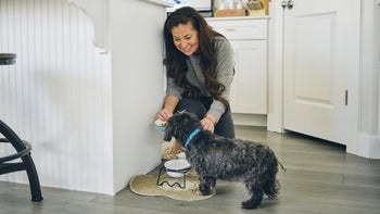 Health: Dog: woman feeding her dog 1389012606