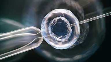 A microscope view shows in vitro egg fertilization.
koto_feja/iStock via Getty Images

