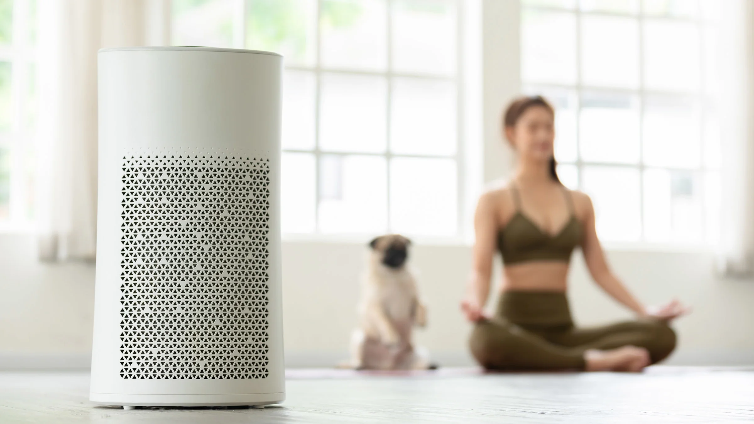 An air purifier. There is a person meditating with their pug in the blurred background.