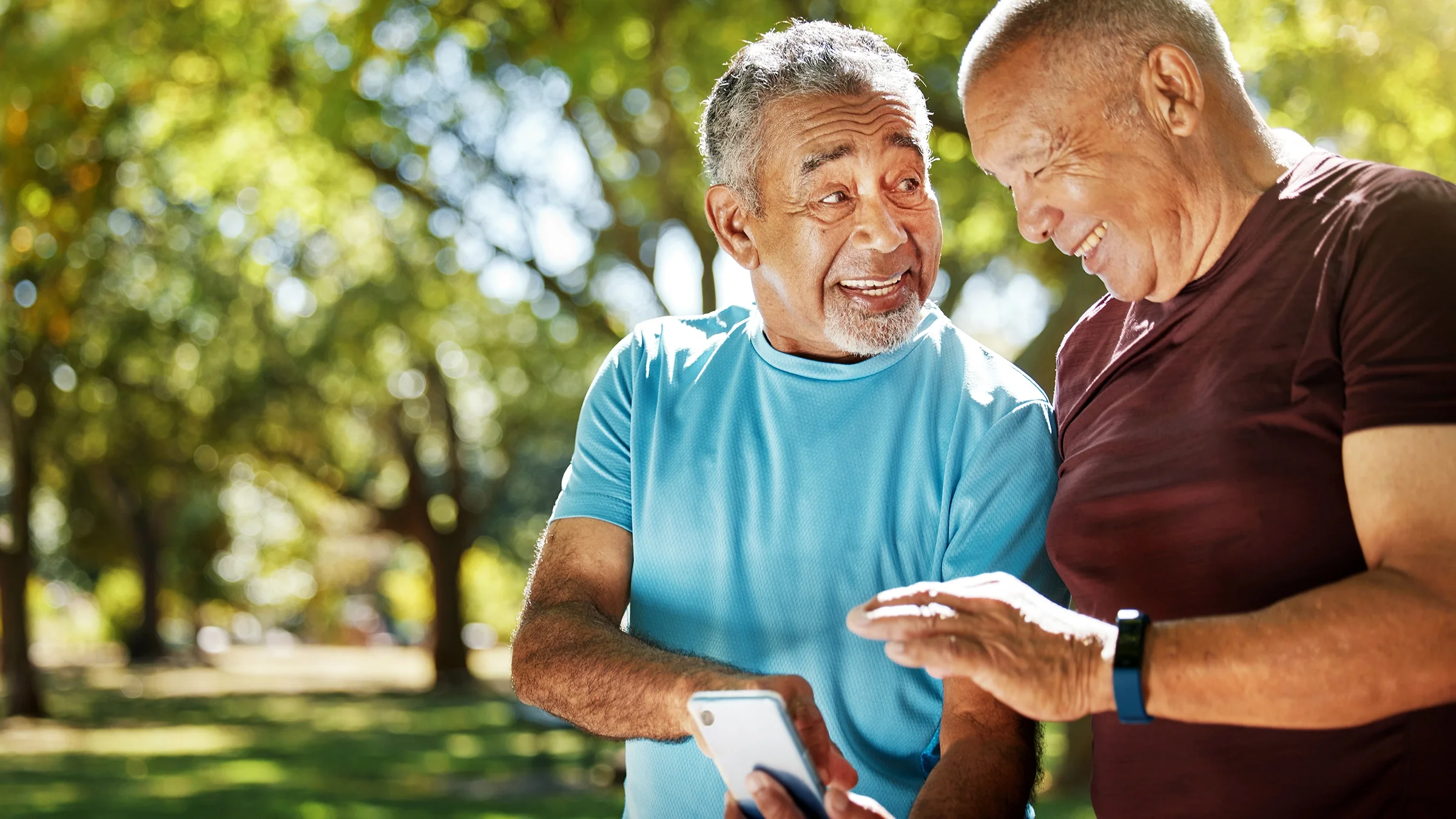 Older men in the park check information on a cell phone.