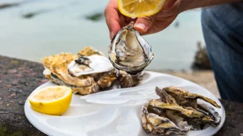 sexual-health: raw oysters plate with lemons-832137418