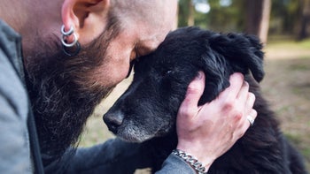 Dog: sad owner embracing sick older dog 1309723630