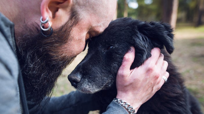 How Much is It to Put Down a Dog: Affordable Options