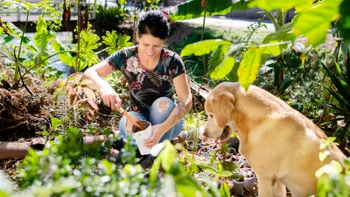 Heart: Reduce risk: gardening with dog watching 1256661254