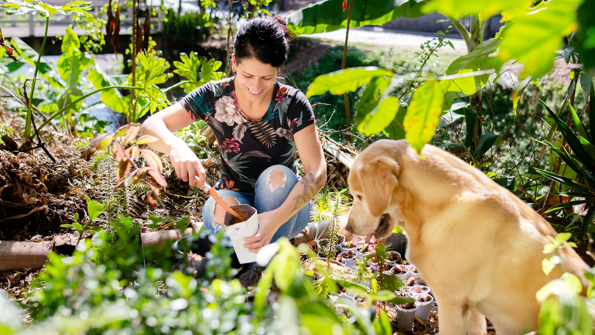 A person gardening, with their dog watching.
