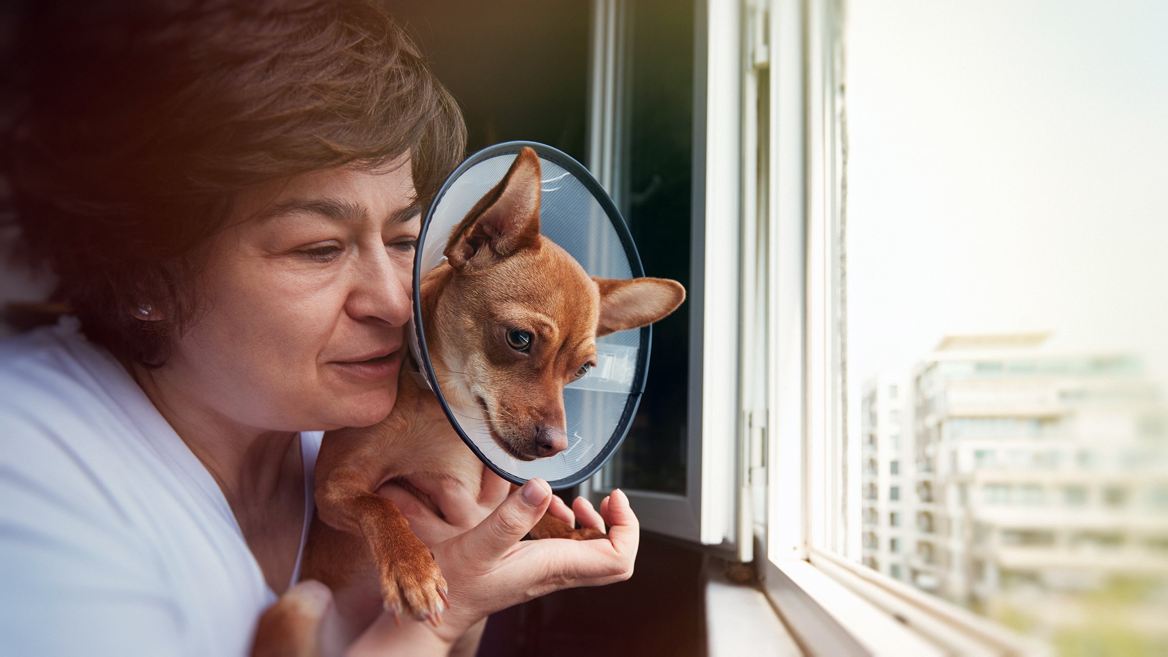 Dog: Pet Health: dog cone with owner 1222427964