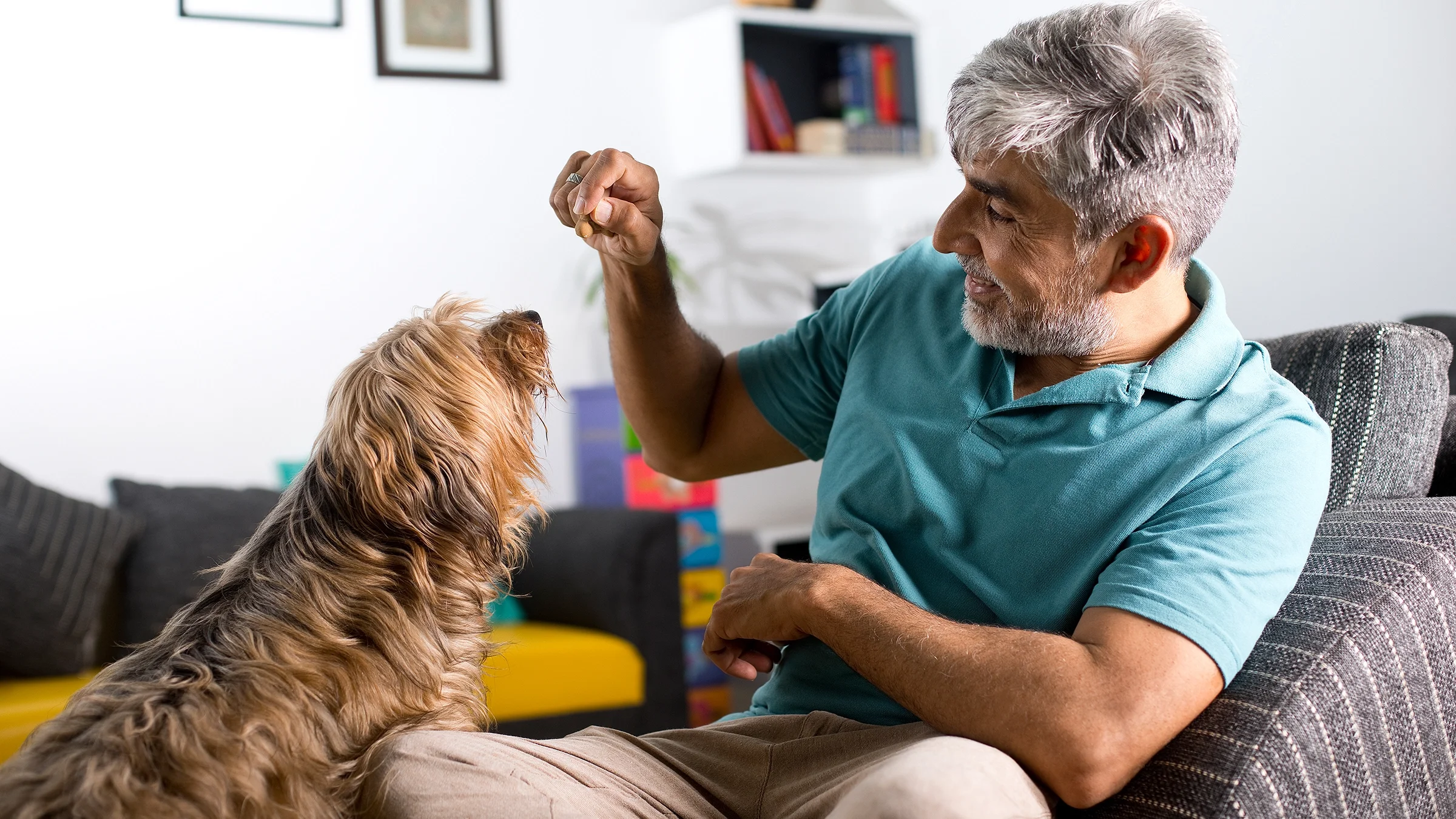 Man feeding his dog on a sofa at home.