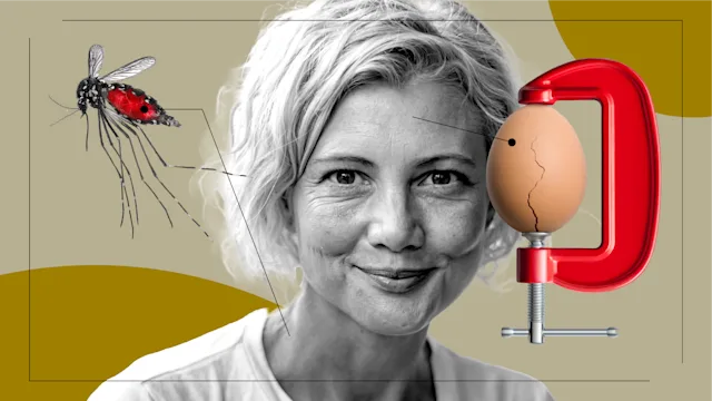 Patient experiences: patient stories feel dengue fever option 2