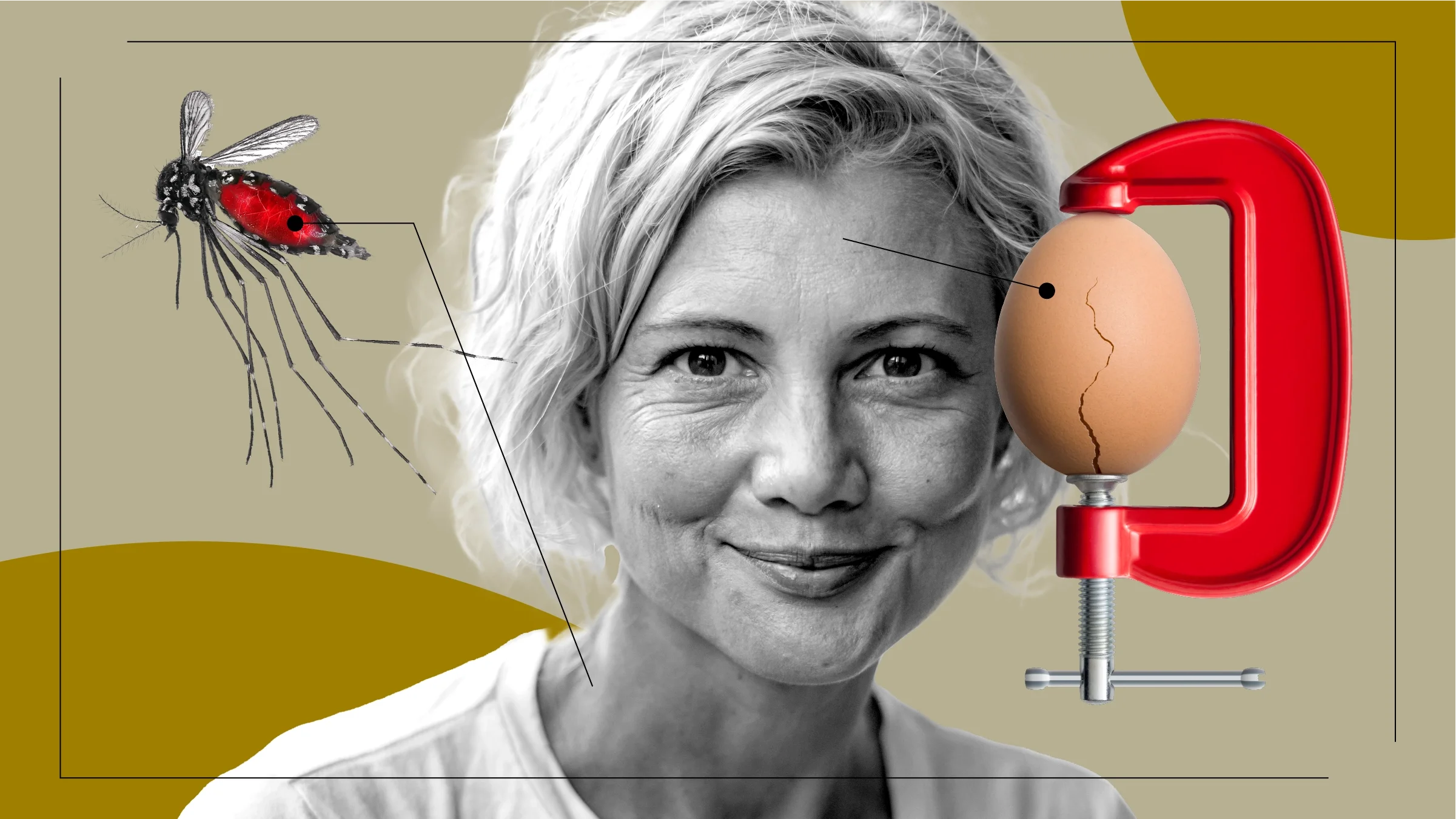 Tan background with black-and-white cutout portrait of a woman. Off of her are diagram lines pointing to objects representing dengue fever. On the left is a mosquito filled with blood. On the right is a red vice grip cracking an egg.