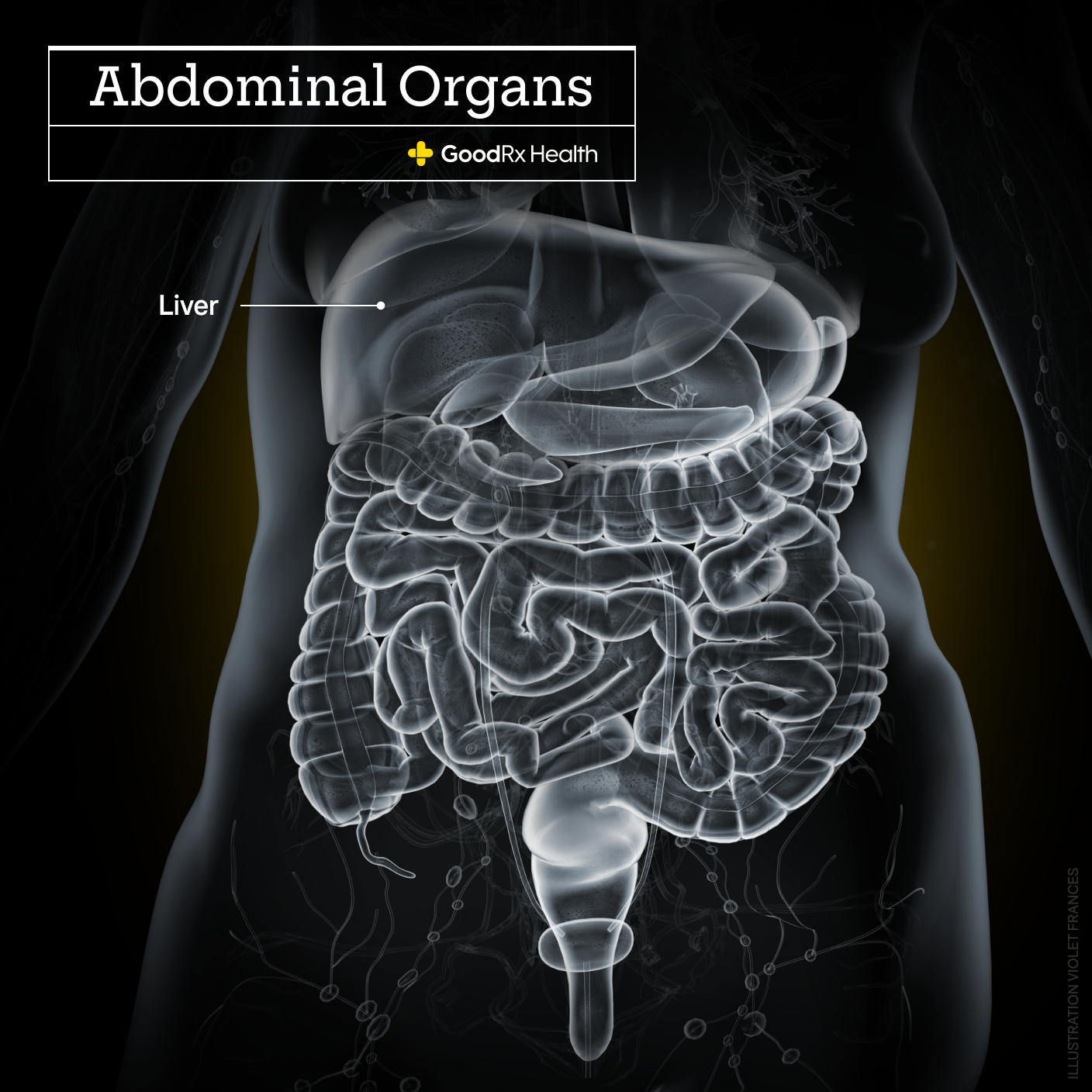 DOES FATTY LIVER COUNT AS LIVER DISEASE visual data 4