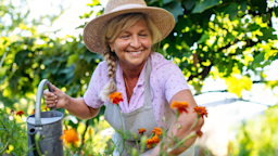A woman gardens outside.
Halfpoint/iStock via Getty Images Plus