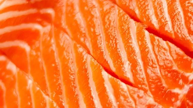 diet-nutrition: closeup salmon filet 2248248212