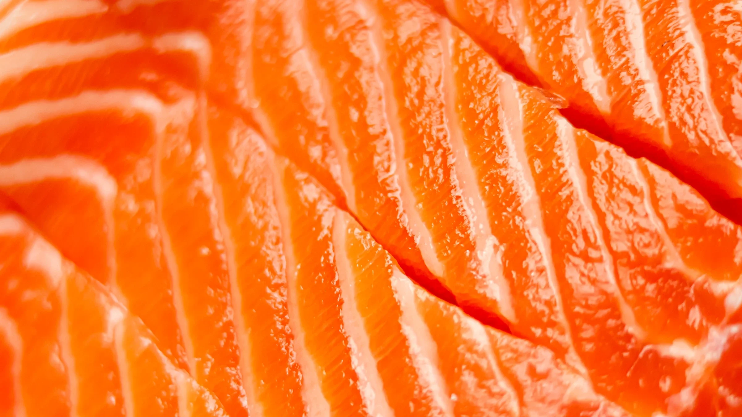 A close-up look at a salmon filet.