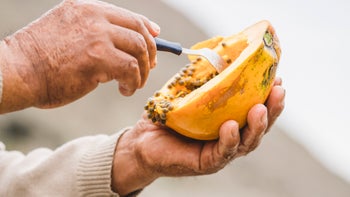 senior person eating papaya closeup 1383502752