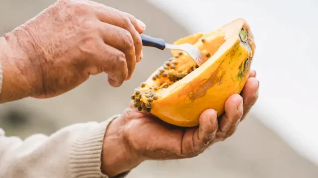 senior person eating papaya closeup 1383502752