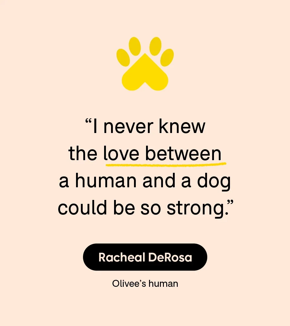 “I never knew the love between a human and a dog could be so strong.” — Racheal DeRosa, Olivee’s human