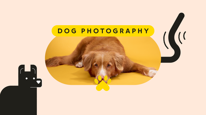 A graphic includes a photo and an illustration of a dog and text that reads “Dog Photography.”
