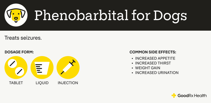An infographic explaining Phenobarbital for dogs, including its uses, dosage forms, and common side effects.