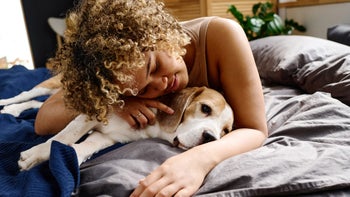 Health: Dog: owner laying with beagle dog 1394774841