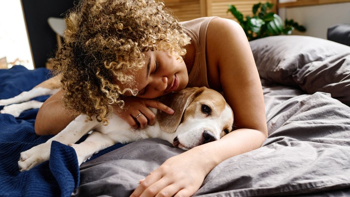 An owner is cuddling their beagle.