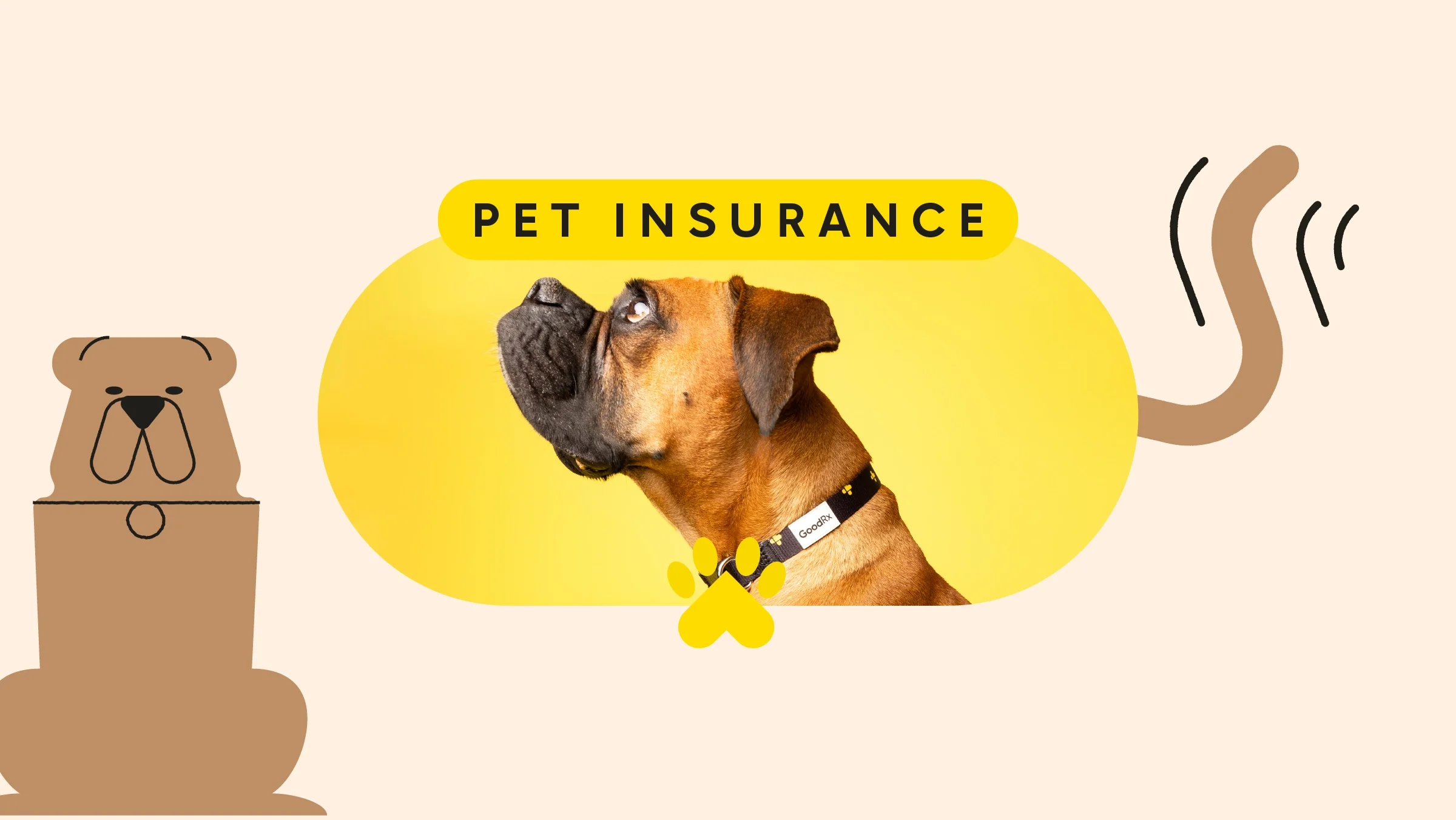 A custom graphic features a portrait of a boxer dog in the center, with “Pet Insurance” written above the photo and dog-related doodles on both sides.