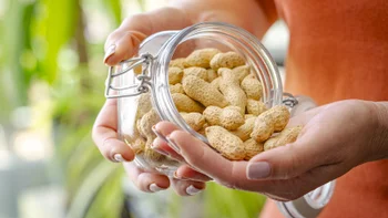 diet-nutrition: handful of peanuts 2213158137