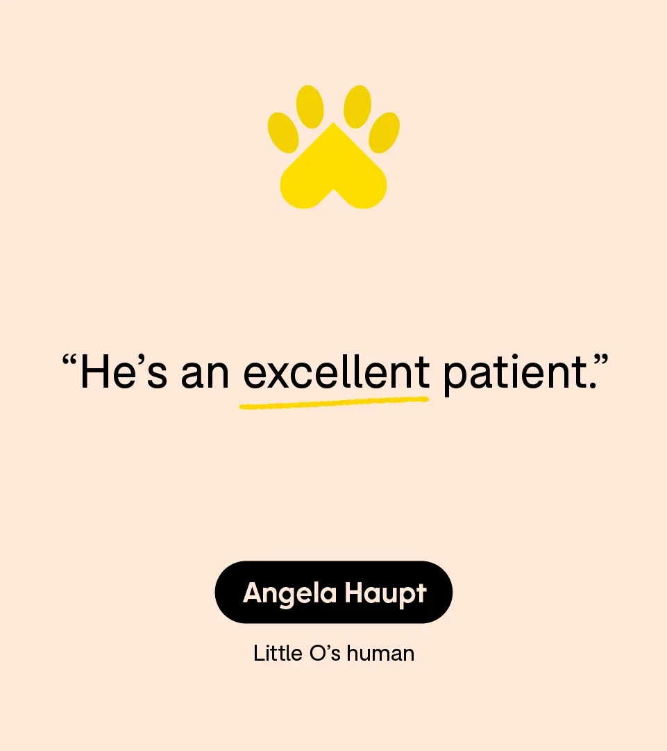 “He’s an excellent patient.” — Angela Haupt, Little O’s human