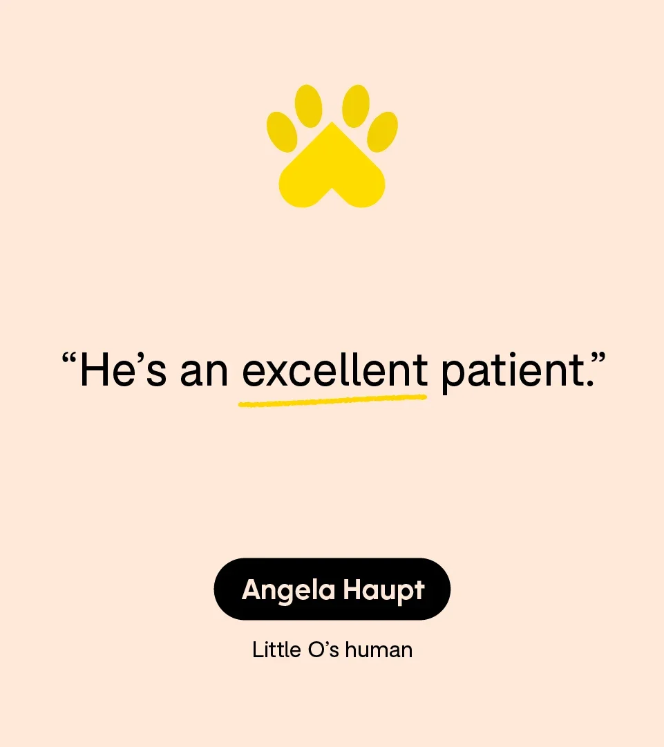 “He’s an excellent patient.” — Angela Haupt, Little O’s human