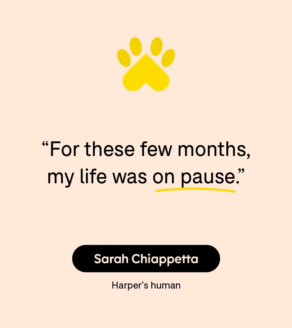 “For these few months, my life was on pause.” — Sarah Chiappetta