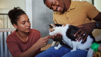 cat: couple giving cat medicine 1458638003