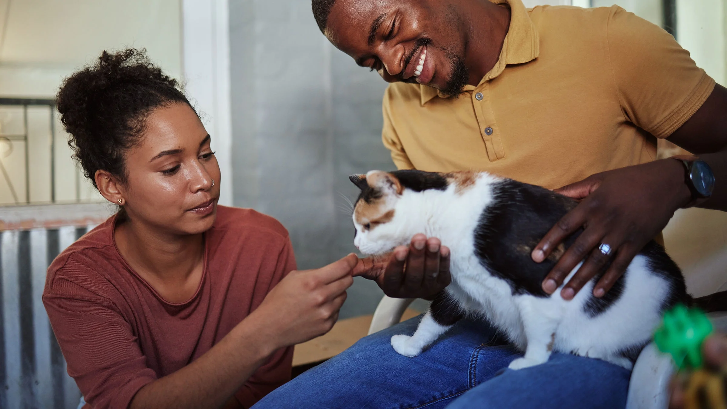 A couple gives a cat medicine.