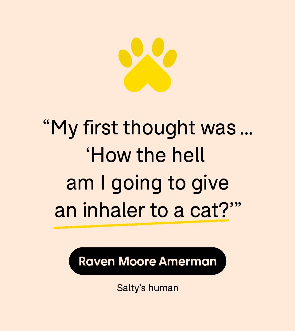 “My first thought was … ‘How the hell am I going to give an inhaler to a cat?’” — Raven Moore Amerman
