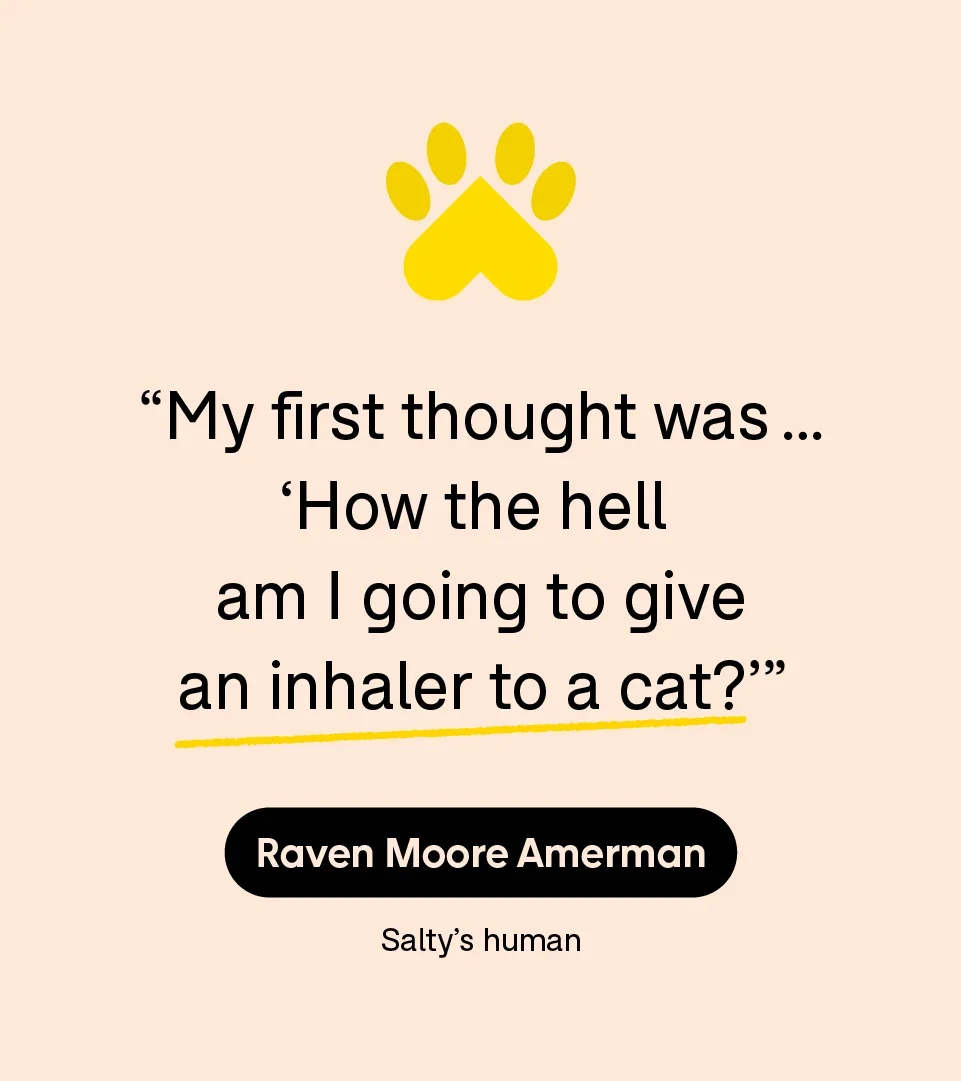 “My first thought was … ‘How the hell am I going to give an inhaler to a cat?’” — Raven Moore Amerman