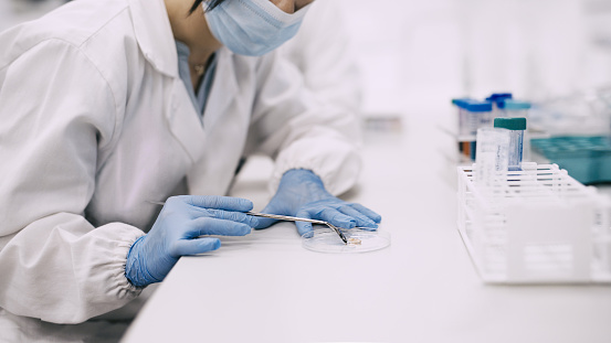 Scientist working in the lab sitting down.