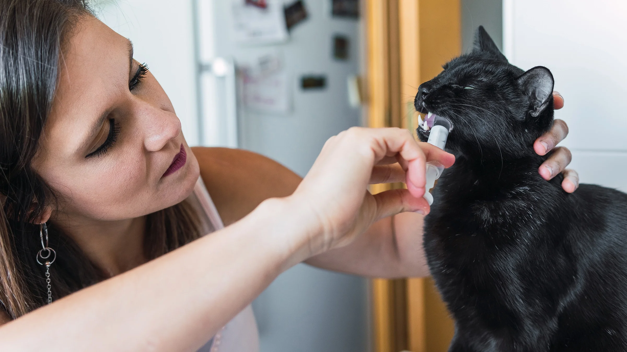 Woman giving liquid medication to a cat.