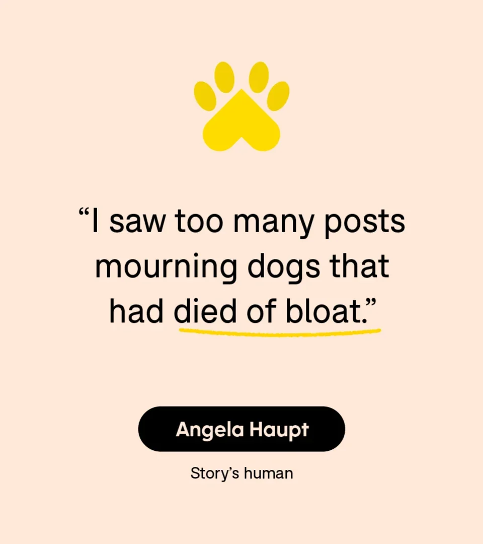 “I saw too many posts mourning dogs that had died of bloat.” — Angela Haupt